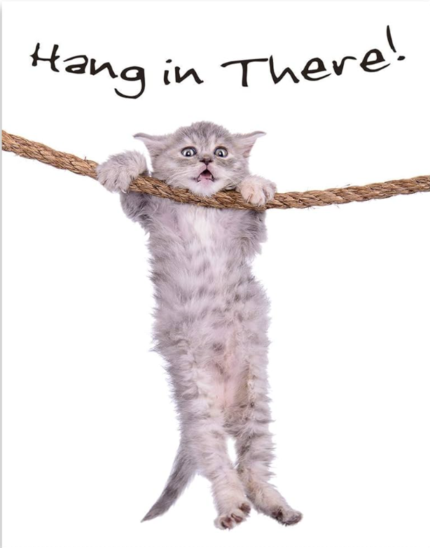 Hang in there